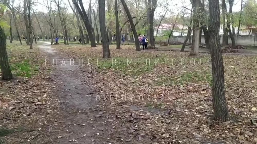 � ����� �������� �������� ����� �������
