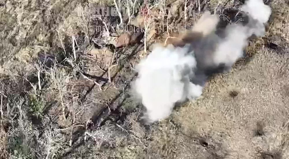 ���� ����� ���������� ���������� ���������� �� ����������� �����������