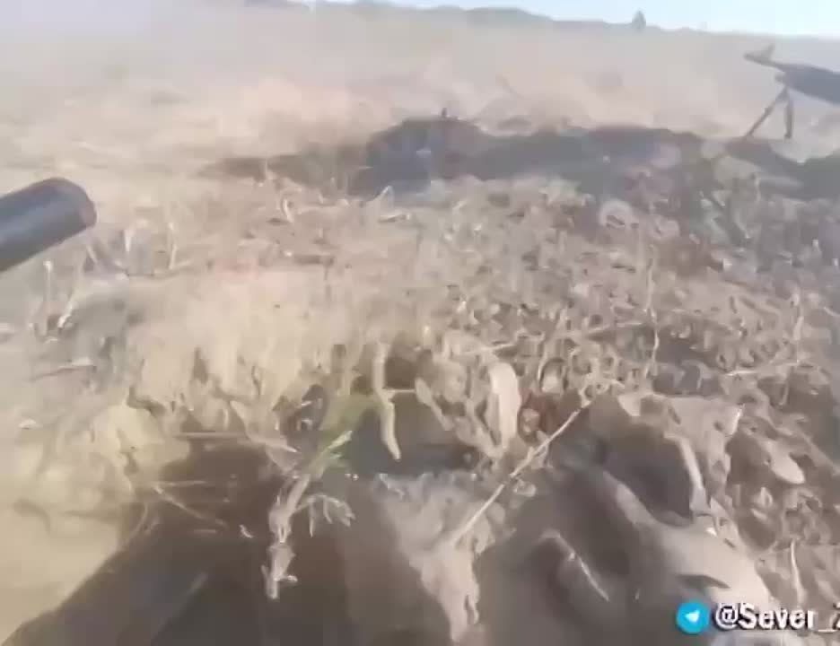 ����� ��������� ������������ ��������� �� ������������� ��� ���������� ������, ������������ �������