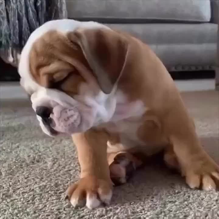 ������ ����, ������� ����������!