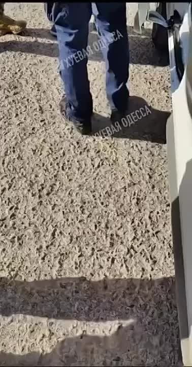 � ������ ���������� ��� ������ � �������� ��������� �������� ����� � ����, ������� ������������ ������� � ����� ���