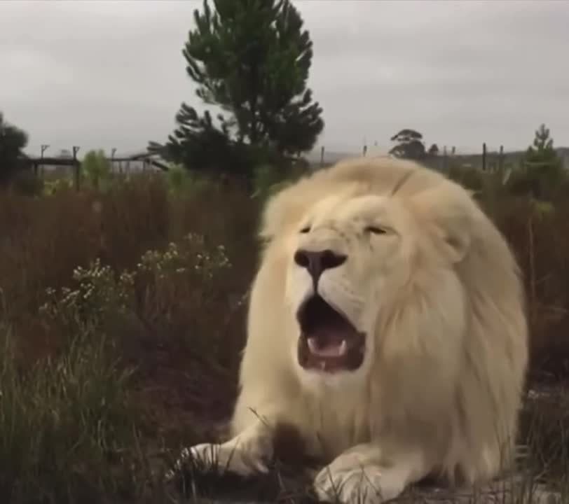 ����� ��� � ������� ����������� �����