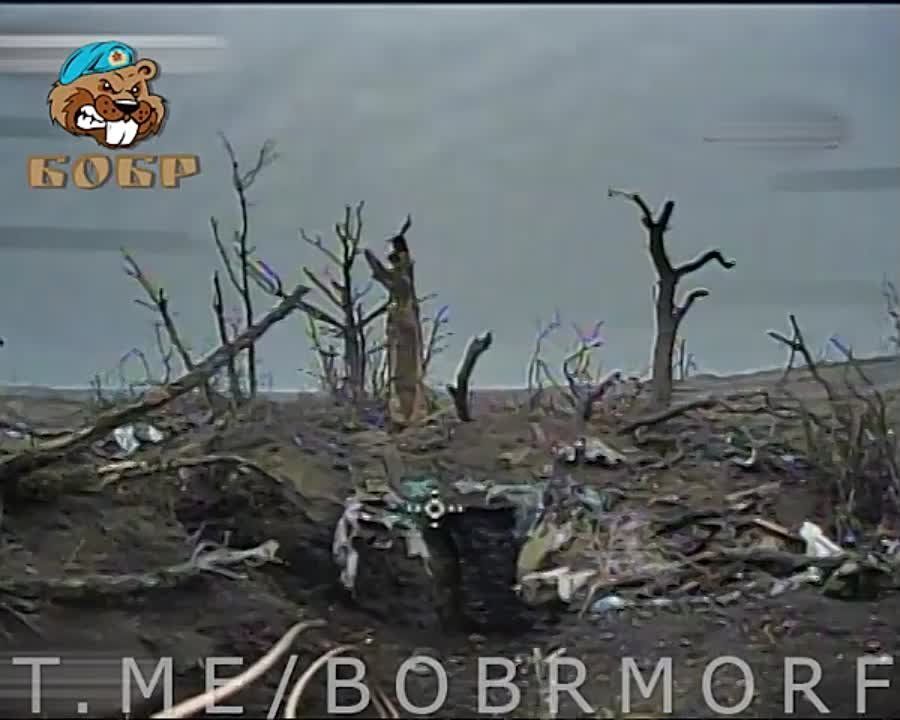 ����� ������������ ���������� FPV-������ ������� ���� �� ����������� �����������