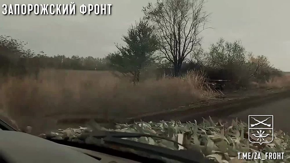 ���� �������� ����� � ����������