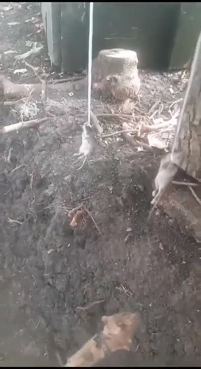 � ���� ���������� �� ������ ����� � ���� ������������� ������ ����� �� ���������