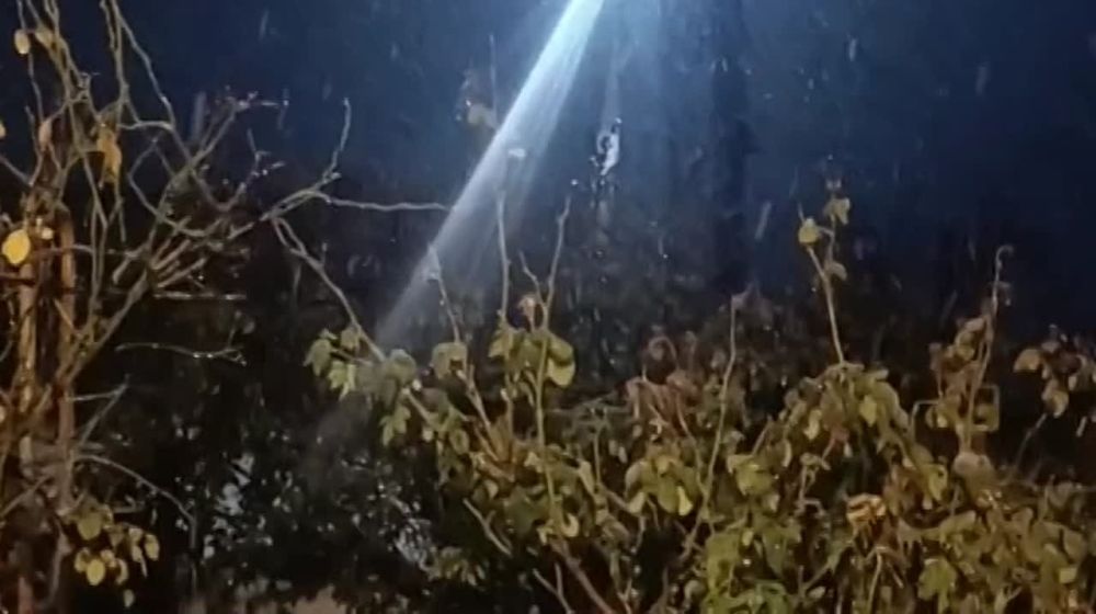 ������� �������: ��� � ����� ������ ���� � ���������