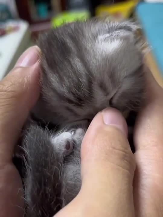 ������ ����!