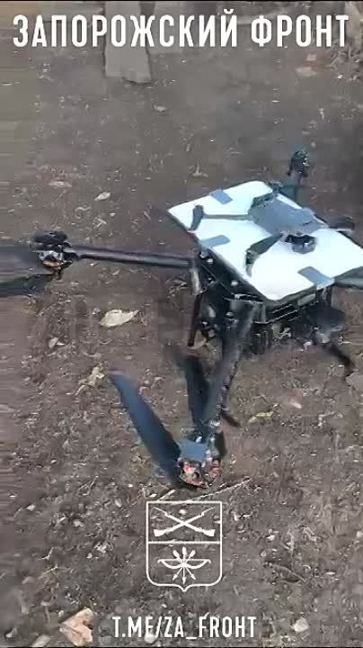 ��������� "���� ���" ������ �� ����������� ������ ��������� ��������������� �� ����������� �����������