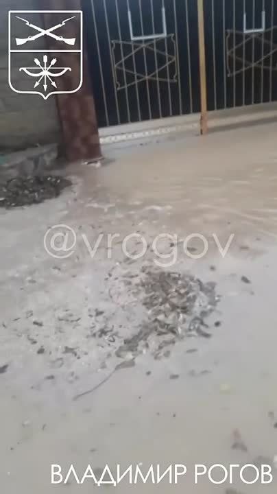 �������� �����: ���������� �� ����������� �������