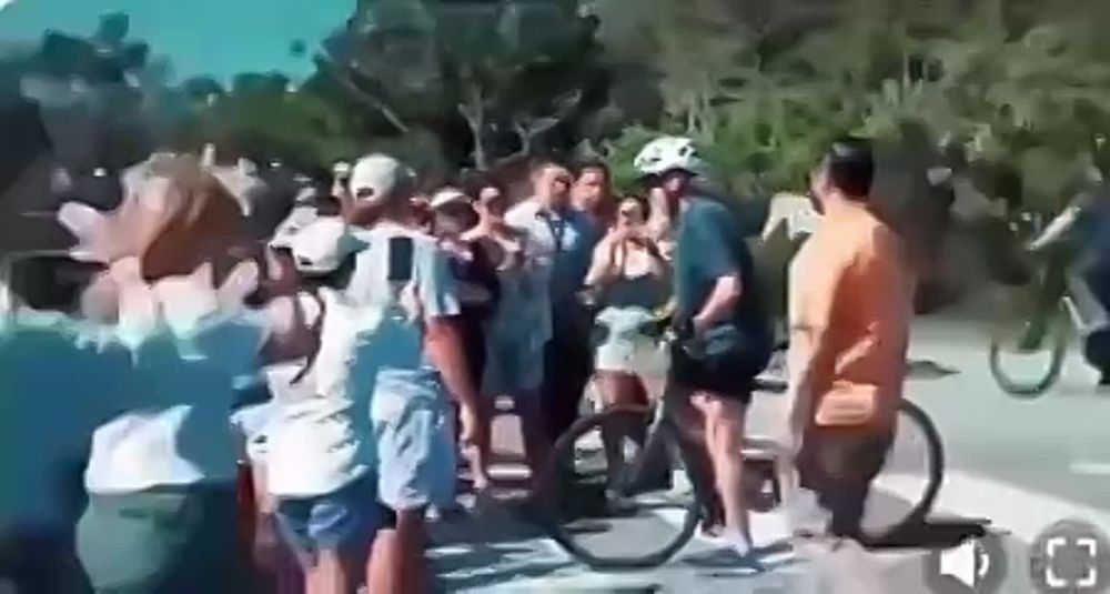 ������� ���� ���������� 81 ���, �������� ��������