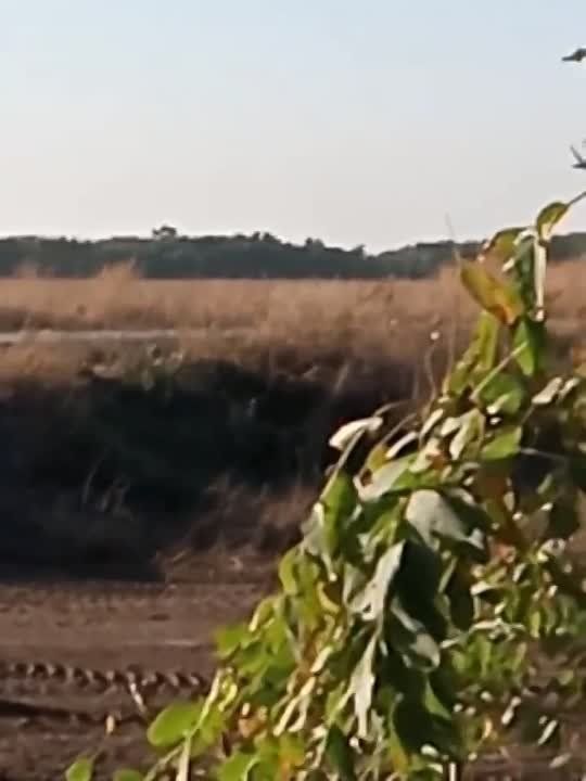 ������� �������: ����� ���� ��������� �� ����� ��������