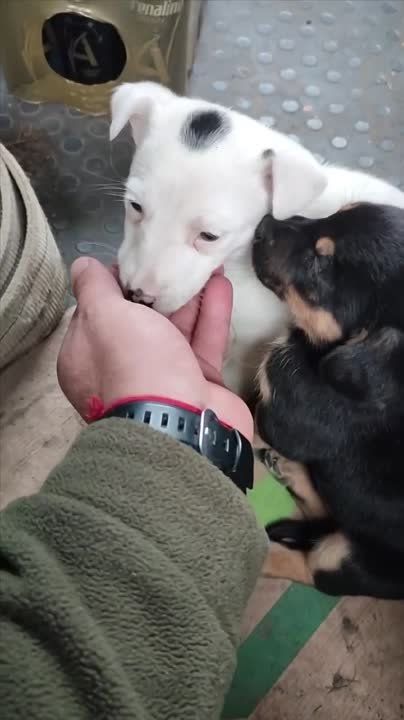 �������� ���������� � ����� ���������