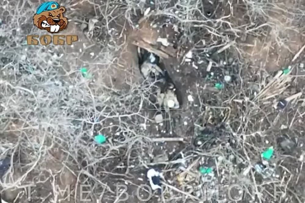 ��������� FPV-������ ������ ���� ���������� ��������� ������ ��� �� ���������� �����������