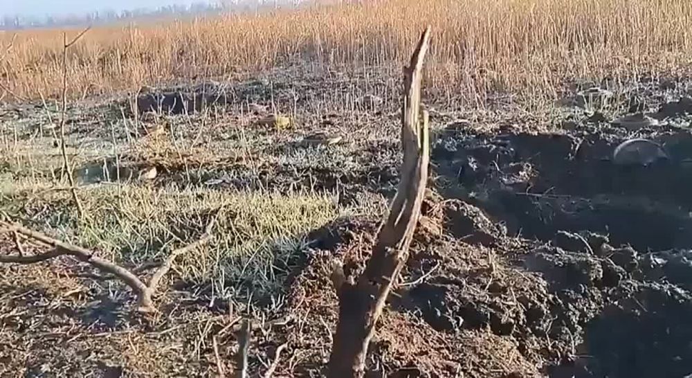 ��������� �������: ���������� ������� ����������, ��� ������ ������������ ���� � ��������� ����������� ������