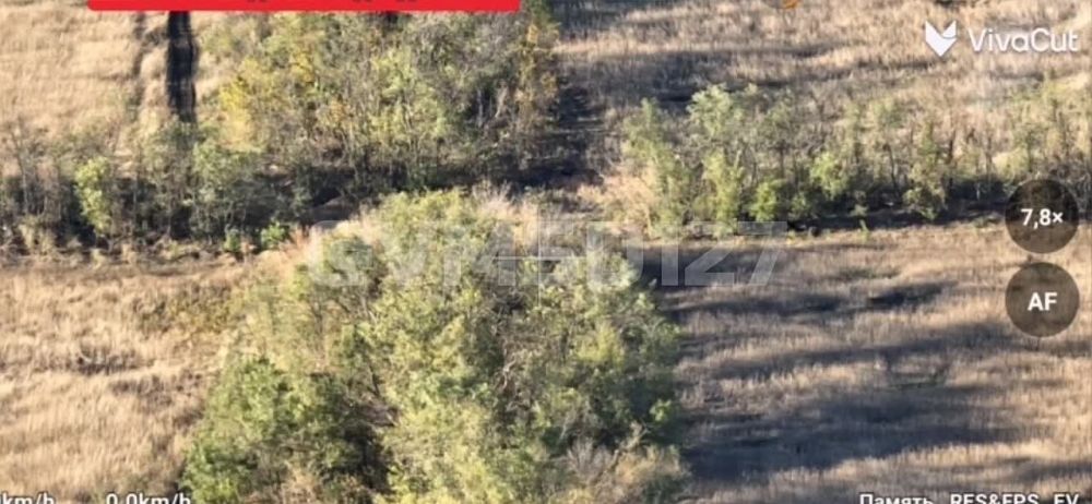 ����� �����: ����������� �����������.. ���� ���� 114 ������������ ��������������� ����� 127 �������������� ������� �� �������� ���������� @vmsd127