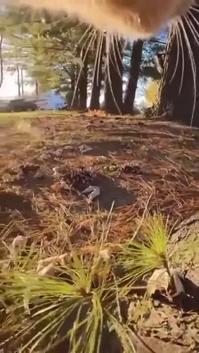 ������� ������ ��������� ������ ���������� ��� ����� �� ������� � ������� ���