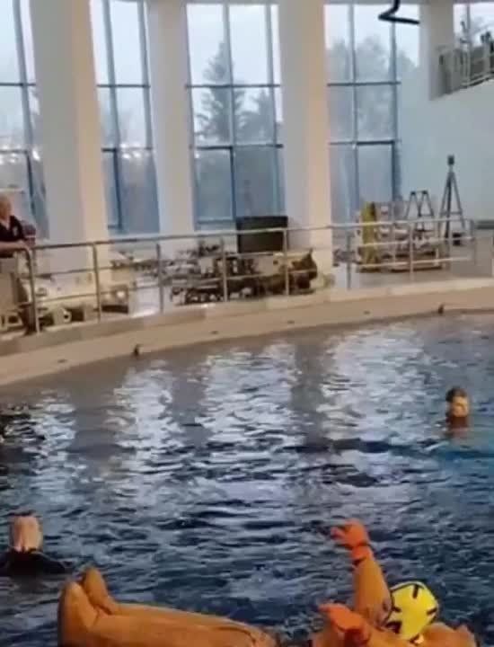 ����������� ����������� ��������� � ������ �� ���: ������� ������ ����������� � �� ������ ��������� ������� ���������� � �������� ������� ��������� ������� �� ����