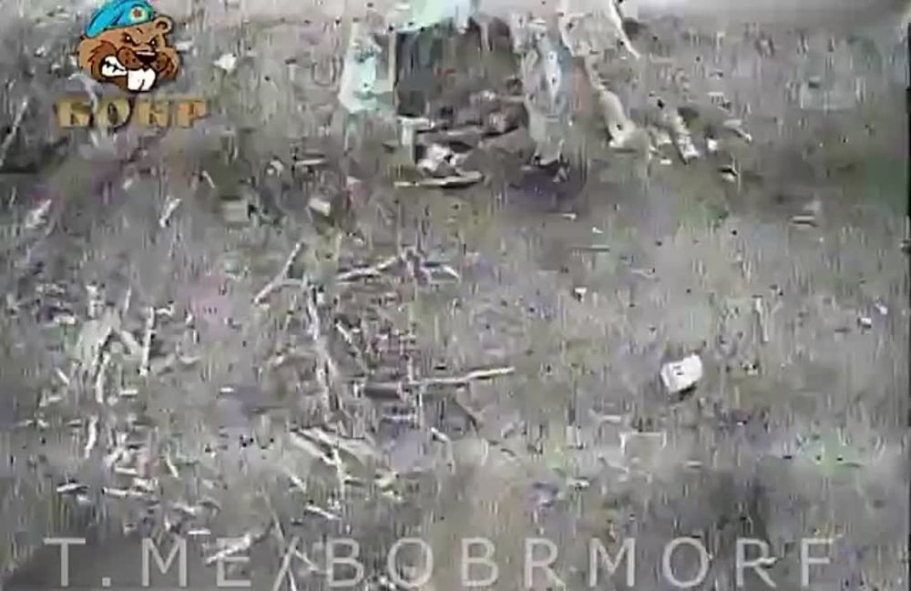 ������ �������� ������ ������ FPV-�������� �� ����������� ����������� �� ������ ���� ZA_FROHT