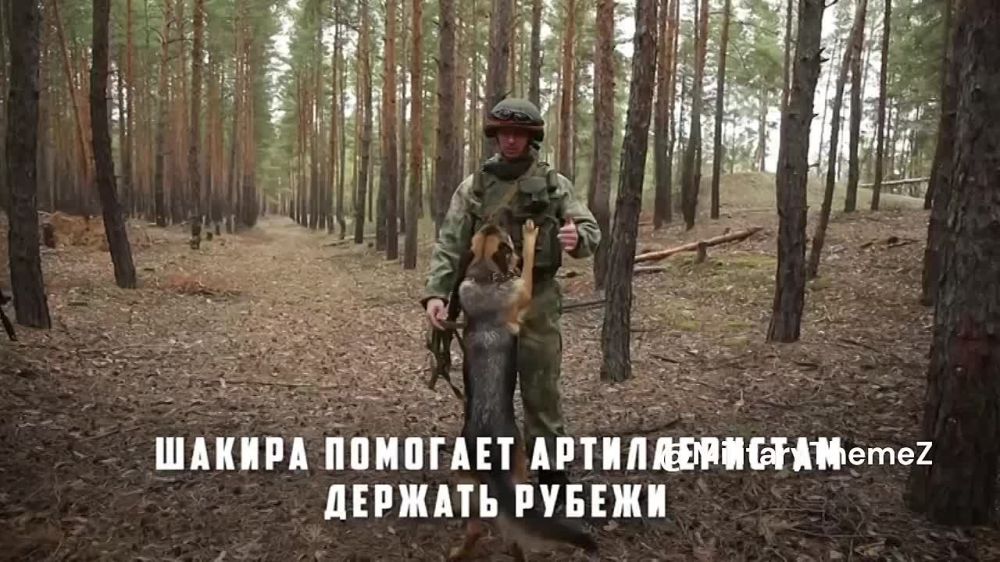 ��������� ������� � ������� ��������� ���������� ������������� - �������� ������� ������, ������� ���� ����� ������ ����������� � �������������