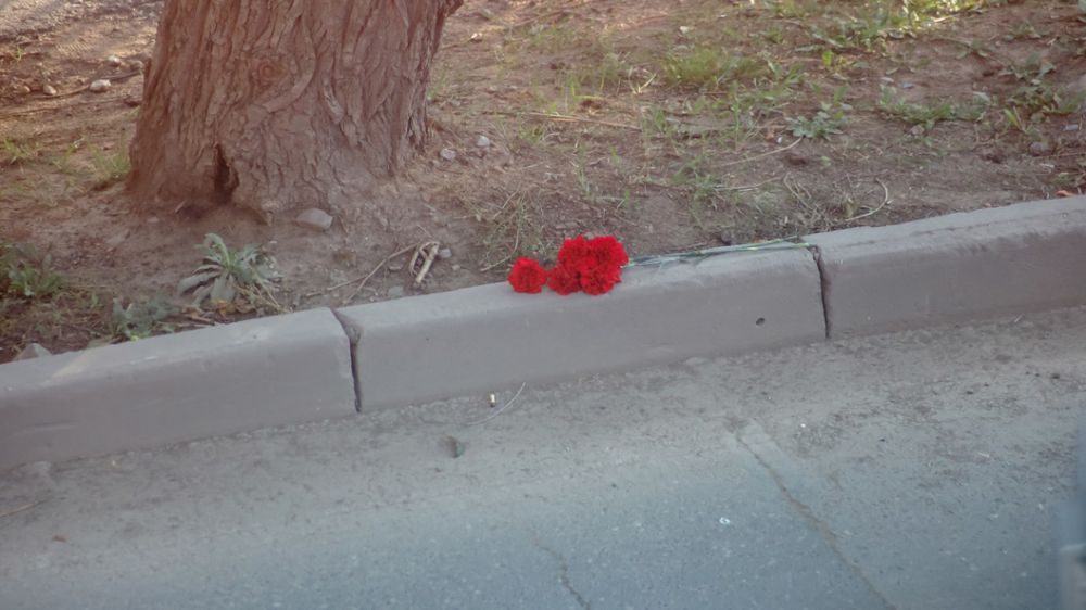 ����� ������ ������ ���������� ��������� �������������� ���������