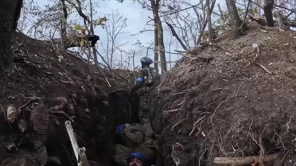 ���������� �� �������� ��� � ������ ��������