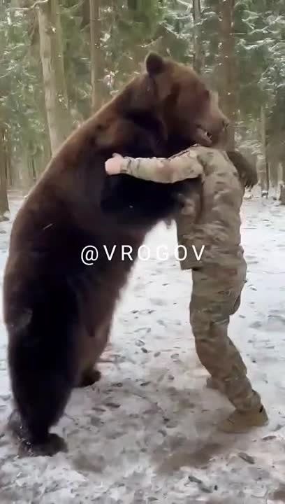 �������� �����: ����� ������ ������� ��������� (���� �����) � �������