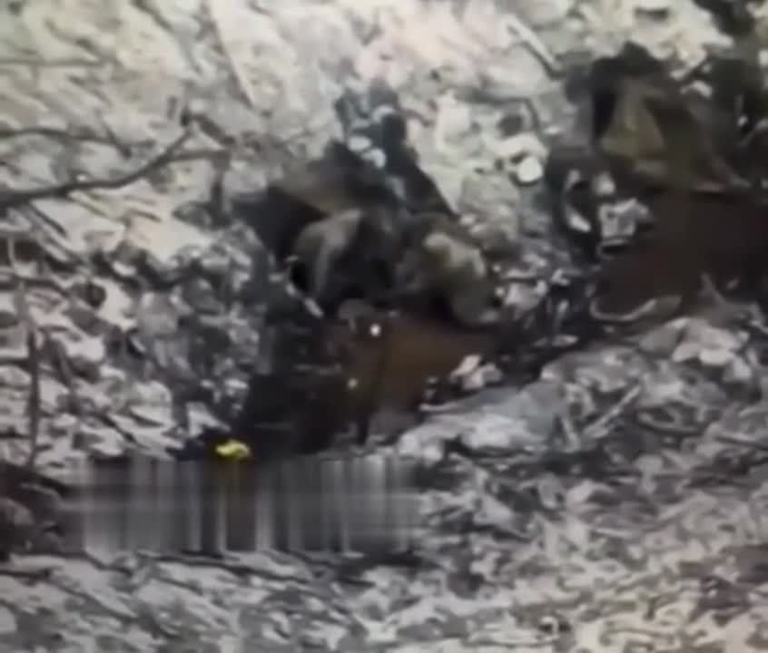 ������� ���� �� ��������� ������� ������� ����������� ���������� �����������