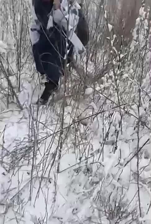 ������������� ������� �� � ����������� ����������� ��� �� ������������ � ����������� �������� ���� ��������� ������������ �� ��������� ������� ����������� ������� � �������������� ��������� ������ ����������