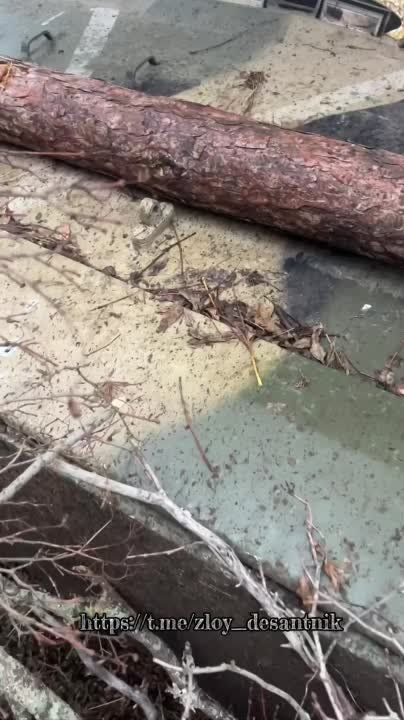 ��� ������: ����� � ������������ ������ �� ����� ����������, ����� �.�. ��������