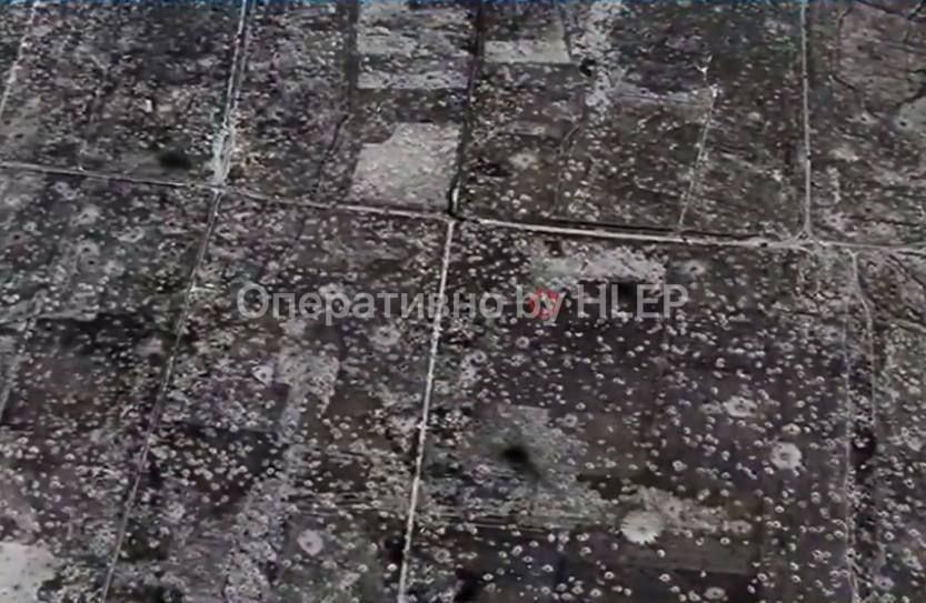 � ����� ������� ��������� �������� ������������ �� �������� ���� �����������