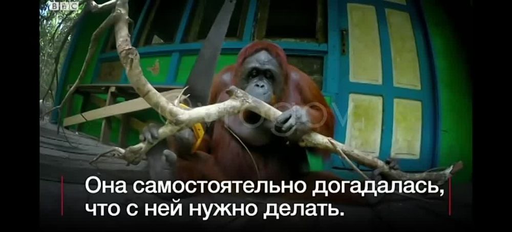 �������� �����: ���� ����� vs ����� ����������� - ��� ���������?