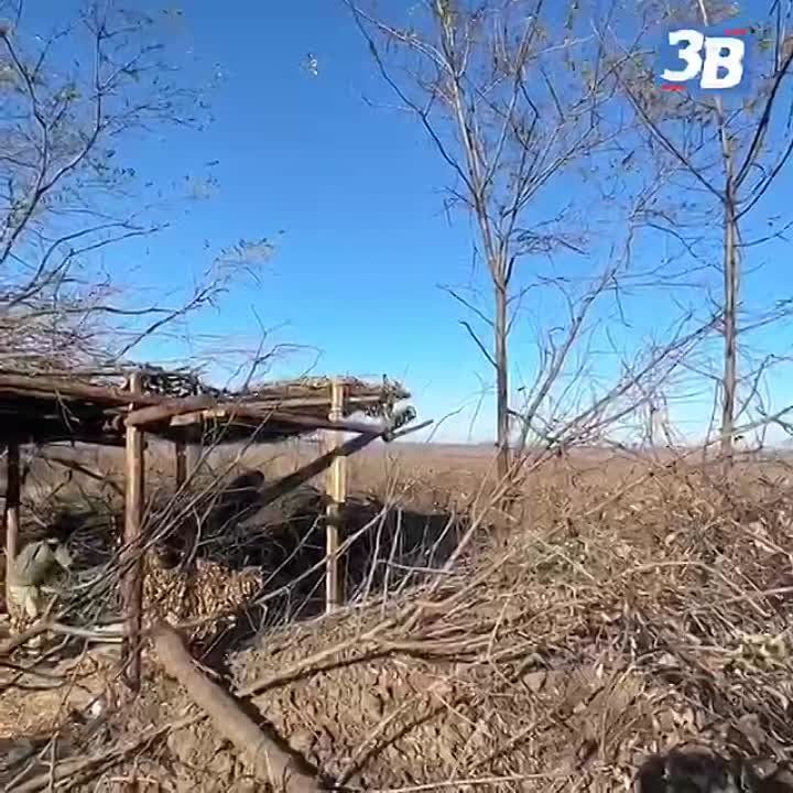 ����� ������ �������� ��� ����� ��������� ����� 117-� ���������������� ������� ��� �������� ����������� ������ ��������������