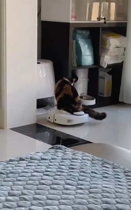 ���� ��� �� ��������� �����, �� ��� �����