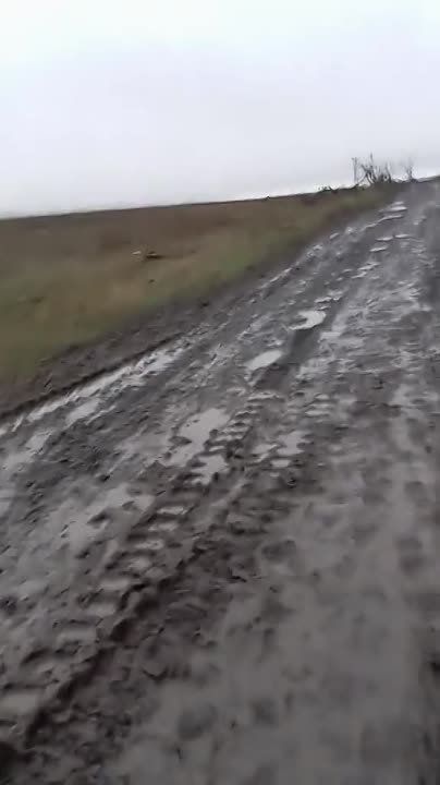 ����������� ����������� � �������� �������, ���������� ��� � ������ ��������