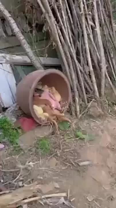 ������� ������ ��������������, ���������� � �����������, � �������� ������ �����!