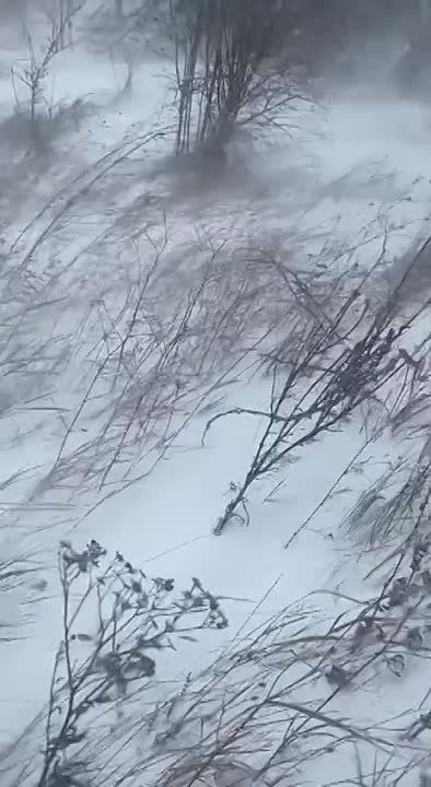 �������� �����: ���������������� �� ����������� ������