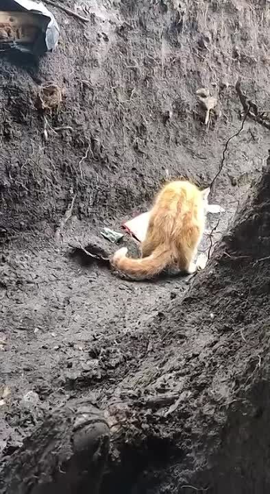 Андрей Медведев: Постепенный переход Авдеевской промзоны под наш контроль, означает, что российская армия начала совершенно иначе воевать