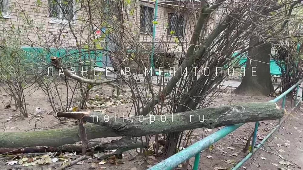 � ���������� ������ ����� � ������ ����������� ������� � ����� ������