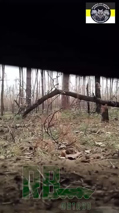 ��� � ���������� ����: �������� "����� �����" ������� ����� ���������� �����������