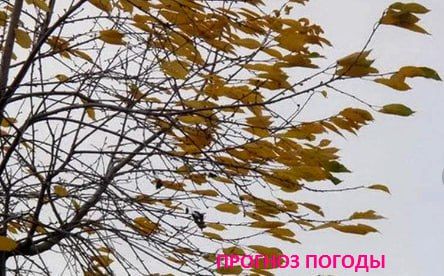 ��� �� ��� ������, ����������� ���� ����� �������� � ��������