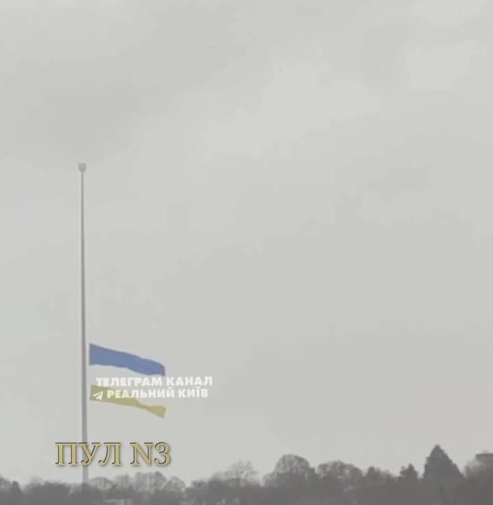 ������ ������ ���� ����� � �������� ������� ������� ���� �������