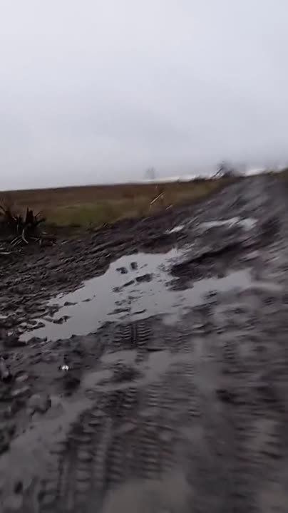 ����� �����: �� ������ ������������ ��������� ������������ ��� � �������� �� ����������� ������