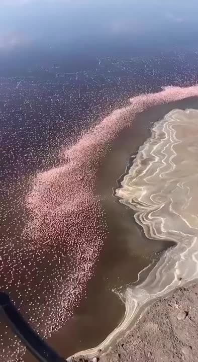 ����� ������� � �����. ����������� � ������������ �������� ������� � �������� ������ ���������. � ��� ��� ���� ����� 2 ��� ��������