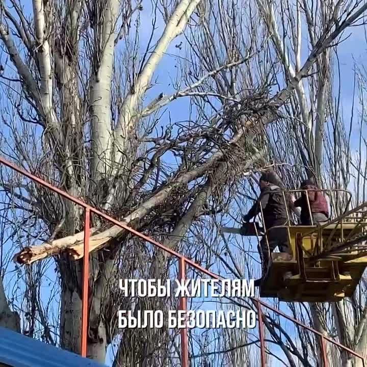 ������� ����� ���� ������������ ������ ������ ����������� ����������� �������