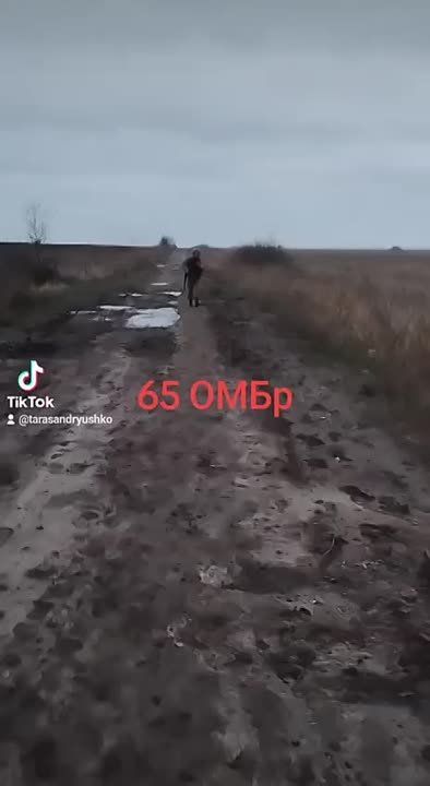 ������ ��� 65-�� ��������� ���������������� ������� ������� ������ � ������������ �������� �� ����������� �����������