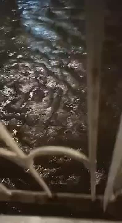 �������� �����: �� ��������� ������ ������