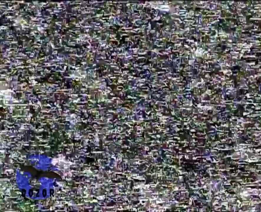 ������ � �������� ���, ��� FPV ������ �������� ����������