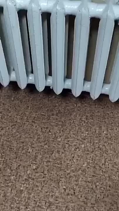 ��������� ������ ������������ � ���������� ����������� ��������� �� �����������