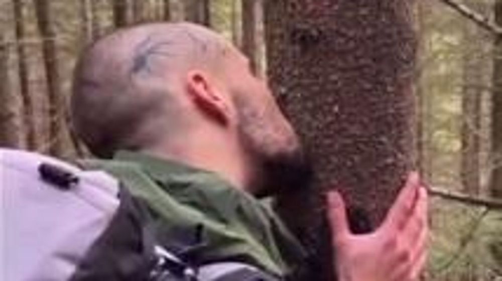 ���������� ��������� ��������� ������ ����, �� �� ������� � �������