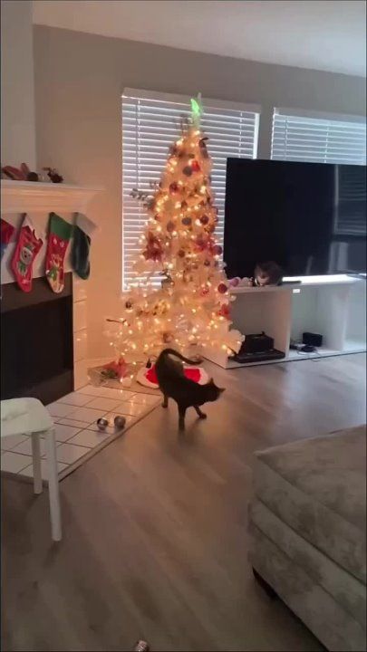������� �������� ������ ����